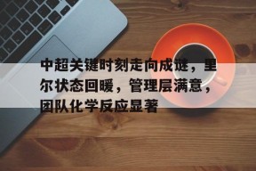 体育平台-中超关键时刻走向成谜，里尔状态回暖，管理层满意，团队化学反应显著的简单介绍